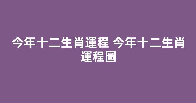 今年十二生肖運程 今年十二生肖運程圖